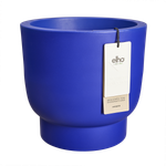 amber grail 47cm royalblau